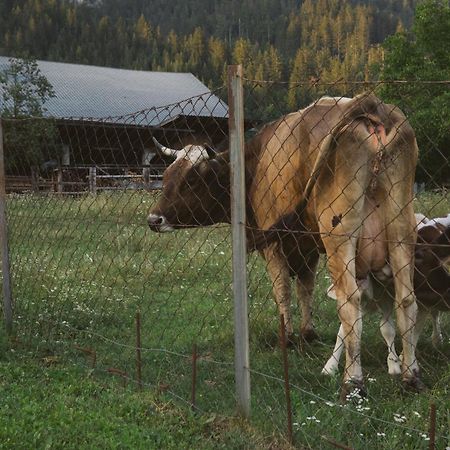 Landhaus Obervellach Hermagor-Pressegger See Dış mekan fotoğraf